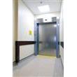 Pegasus door Royal Gwent Hospital